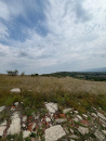 VT 147865 - Land unincorporated agricultural for sale in Chinteni, Cluj Napoca